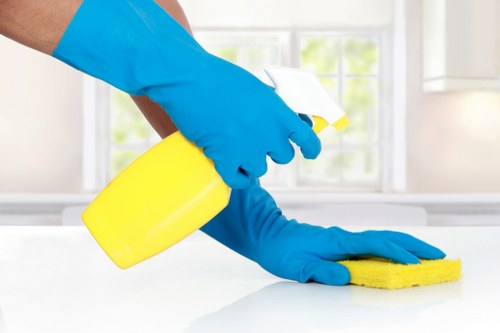 Professional cleaners preparing a London rental property for end of tenancy handover