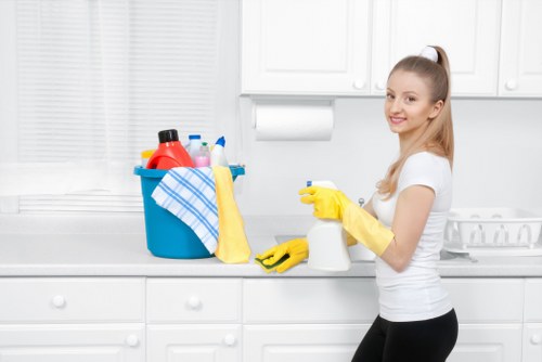 Cleaning equipment and products arranged for a domestic flat cleaning service