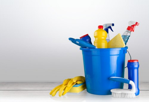 Rug cleaning process for residential and commercial customers in London