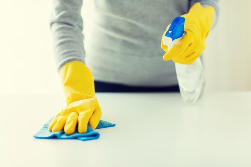 Deep cleaning a London flat with attention to dust and surfaces