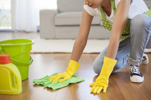 Deep cleaning of a kitchen in a London flat